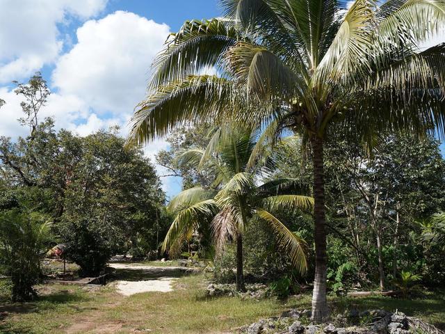 фото отеля Casa Cenote Popol Vuh изображение №17