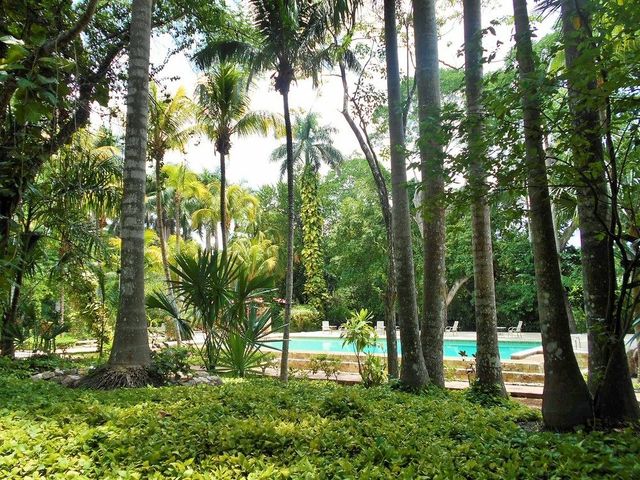 фотографии отеля Hacienda Chichen Resort & Yaxkin Spa изображение №35
