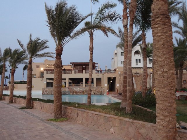 фото отеля Marina Lodge At Port Ghalib изображение №13