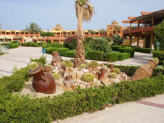 фотографии отеля Malikia Resort Abu Dabbab (ex. Sol Y Mar Abu Dabbab) изображение №47