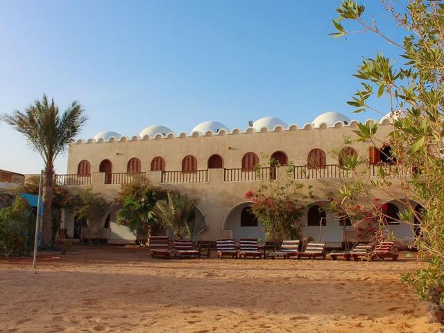 фотографии Dahab Divers Lodge изображение №16