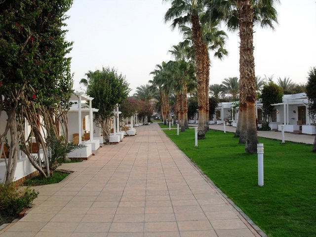 фото отеля Seti Sharm Resort (ex. Dessole Seti Sharm Resort) изображение №45