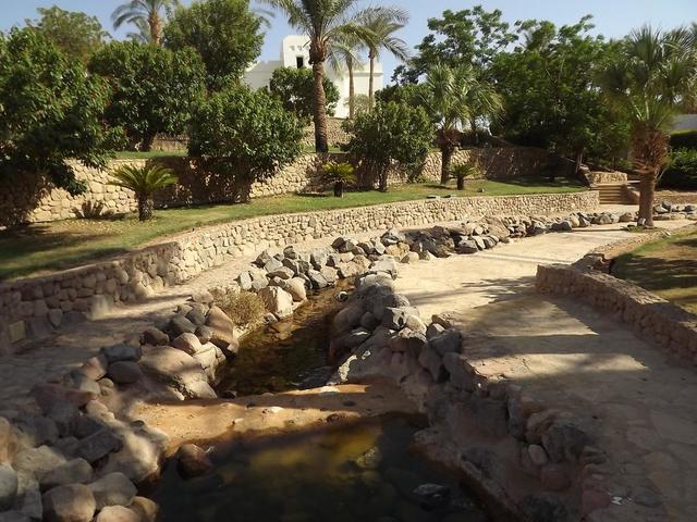 фото Red Sea Sharm Resort (ex. Crowne Plaza Resort) изображение №22