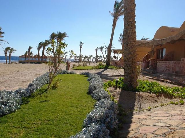 фотографии отеля Swiss Inn Plaza Resort Marsa Alam (ex. Badawia Resort) изображение №11