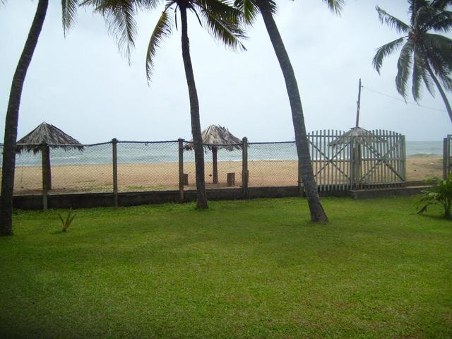 фотографии Ceylonica Beach изображение №24