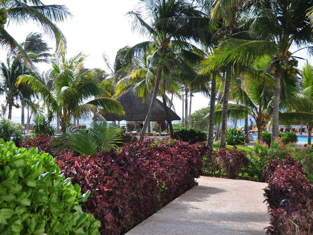 фото Oasis Cancun Lite изображение №18