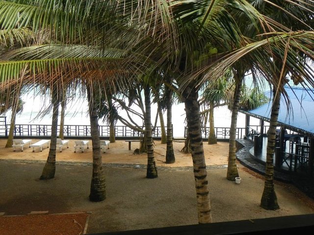 фото Dalawella Beach Resort изображение №18
