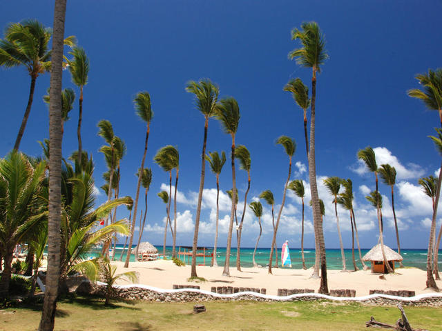 фото отеля Grand Sirenis Punta Cana Resort Casino & Aquagames (ex. Sirenis Tropical/Cocota) изображение №29