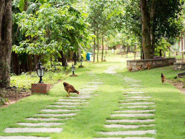 фото отеля The Garden House Phu Quoc изображение №45