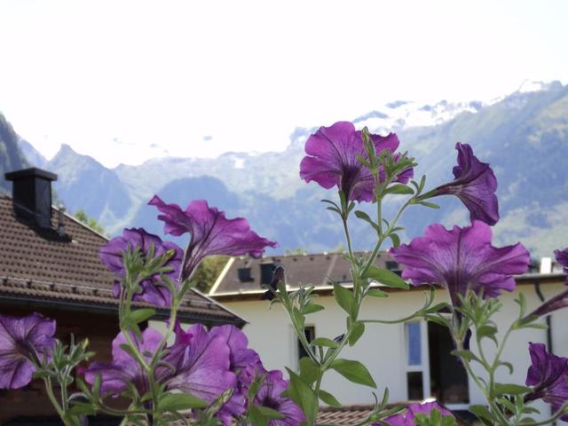 фото Apartmenthaus Gotthard изображение №18
