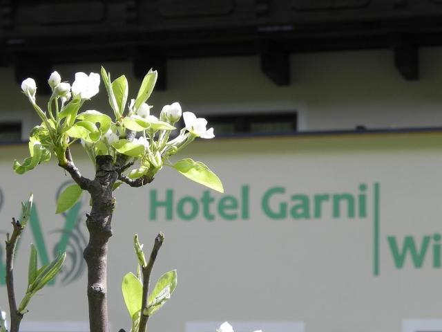 фото отеля Garni Wieshof изображение №9