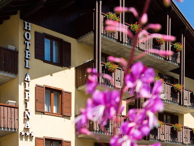 фото Hotel Alpina изображение №38