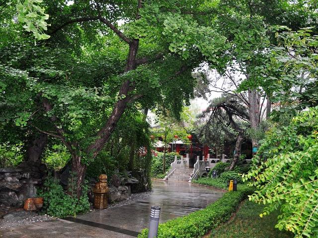 фотографии отеля Bamboo Garden изображение №19