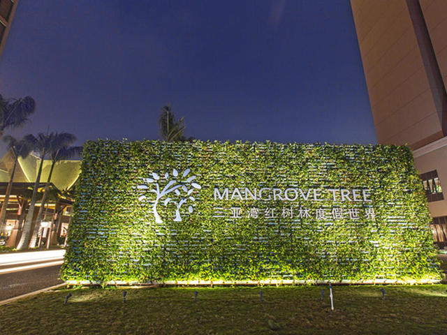 фотографии отеля Mangrove Tree Resort World Sanya Bay изображение №19