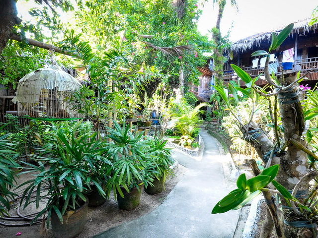 фотографии отеля Orchids Resort изображение №3