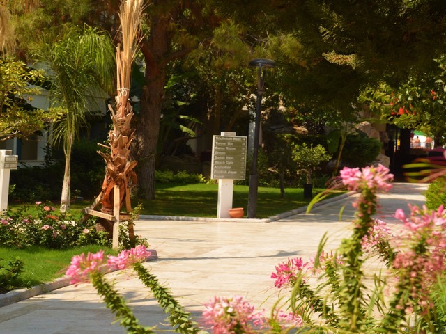 фотографии отеля Flora Garden Ephesus (ex. Club Mersin Beach) изображение №31
