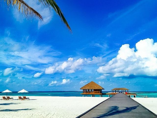 фотографии отеля Noku Maldives (ex. Roxy Maldives) изображение №123