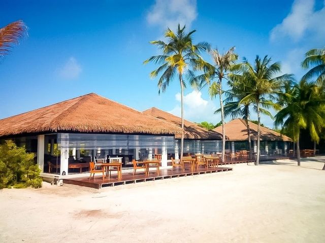 фотографии Noku Maldives (ex. Roxy Maldives) изображение №120