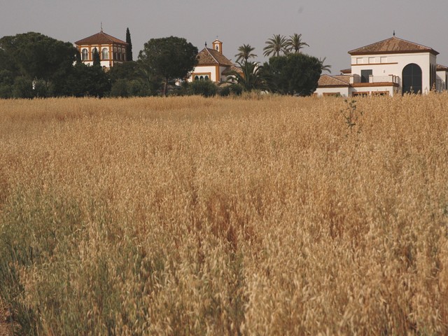 фото отеля Cortijo Soto Real изображение №29