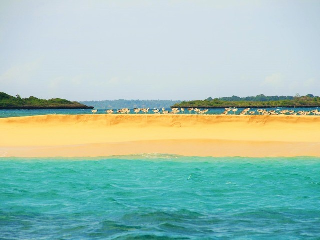 фотографии Zanzibar Ocean View изображение №8