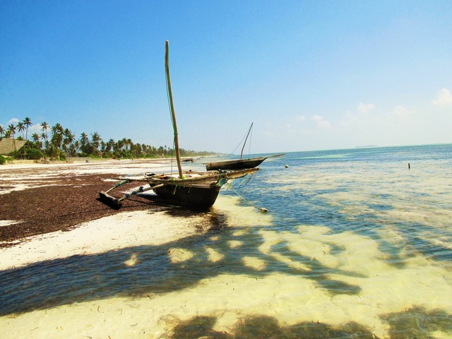 фотографии отеля Zanzibar Ocean View изображение №7