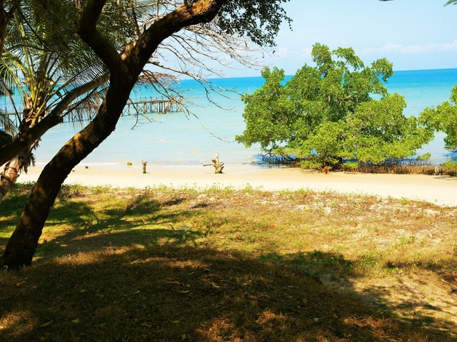 фотографии отеля Zanzibar Ocean View изображение №3
