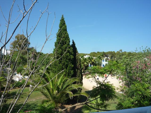 фото Cala Llenya Resort Ibiza (ex. Ola Club Cala Llenya) изображение №2