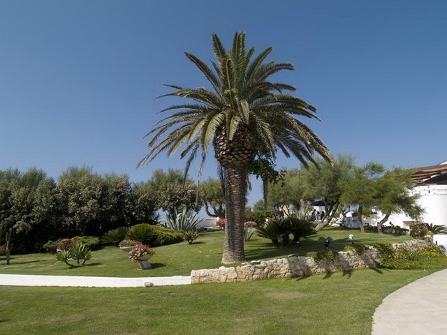 фото отеля Lido Torre Egnazia изображение №17