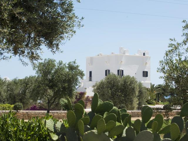 фотографии Masseria Torre Maizza изображение №24