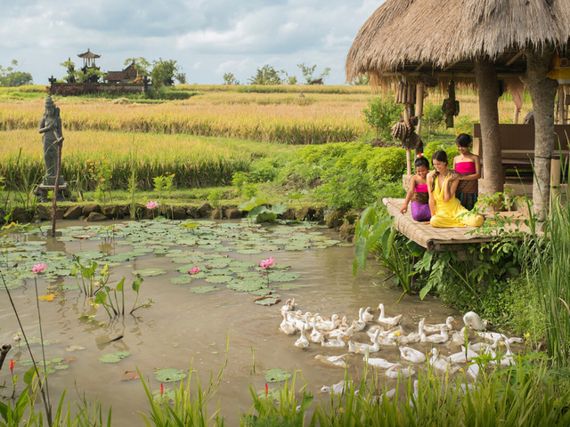 фото Desa Visesa Ubud изображение №2