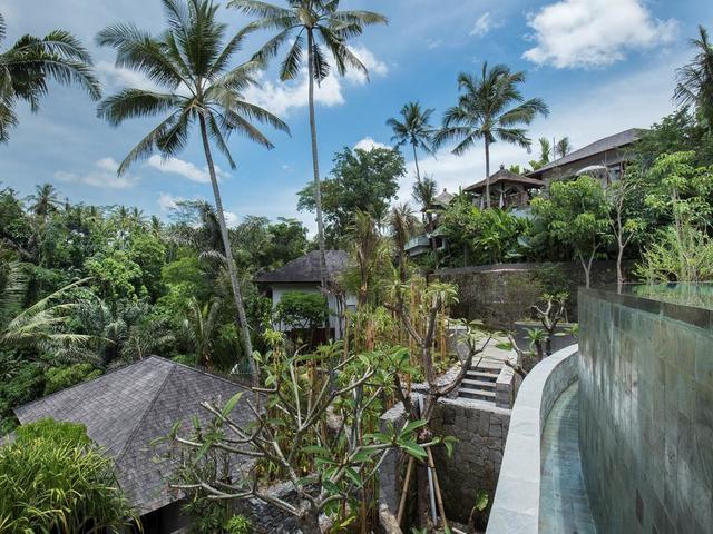 фотографии отеля Natya Resort Ubud изображение №39