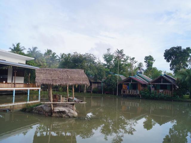 фото Phangan Farm Stay Resort (ex. Palida Resort; Palida Fishing Resort) изображение №10