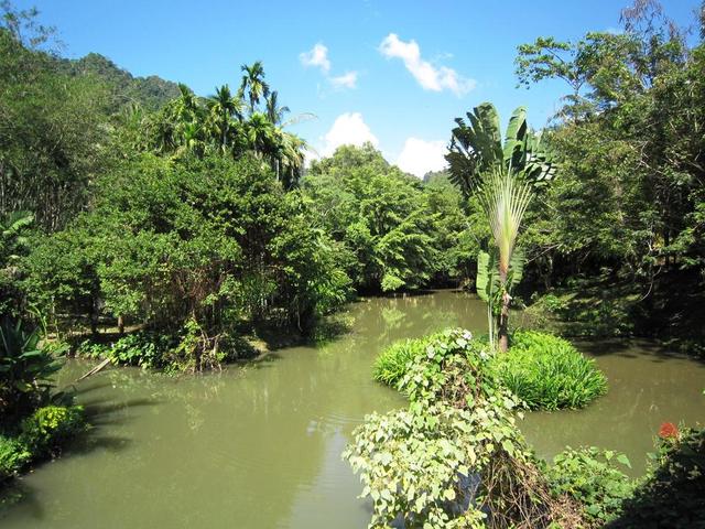 фото Phanom Bencha Mountain Resort изображение №2