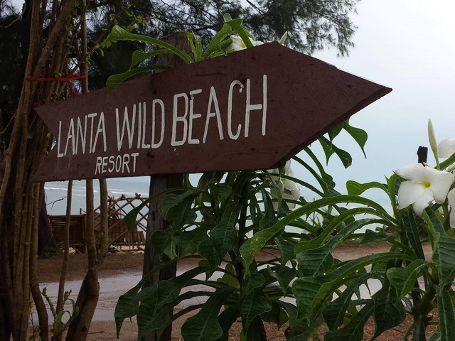 фотографии Lanta Wild Beach Resort изображение №8