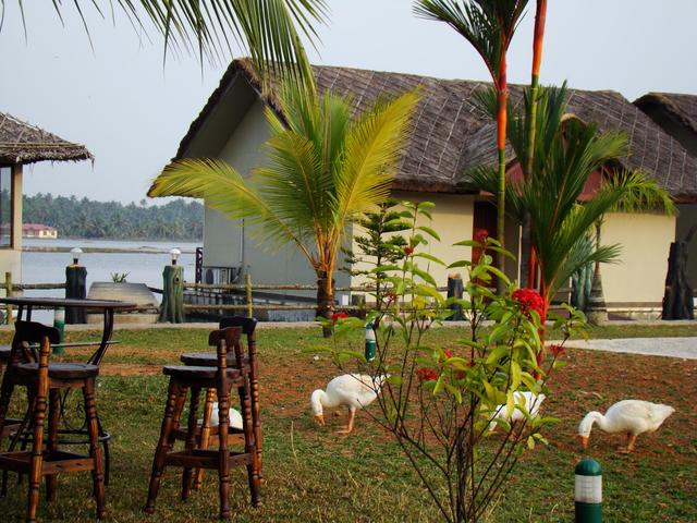 фото отеля Emarald Pristine Island Resort изображение №9
