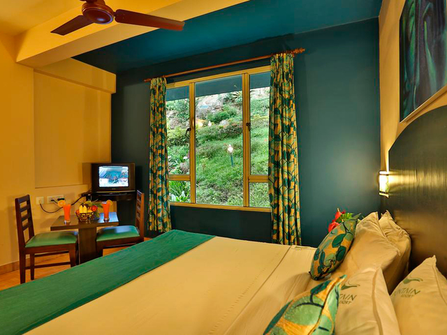 фотографии отеля Misty Mountain Resort изображение №7