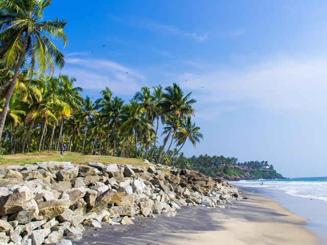 фотографии Kovalam Beach Retreat изображение №12