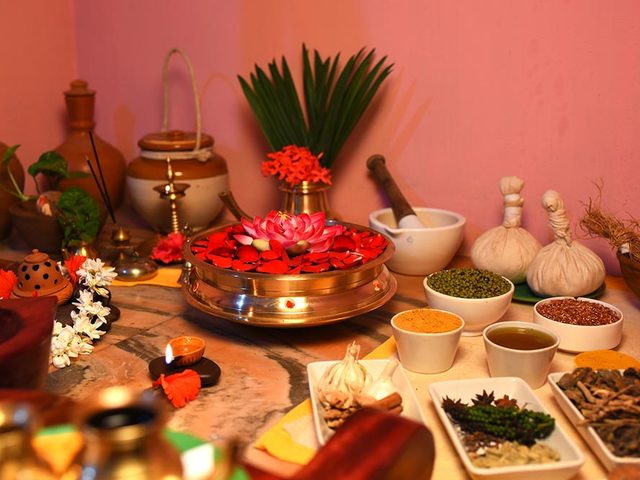 фотографии отеля Ideal Ayurvedic Resort изображение №3