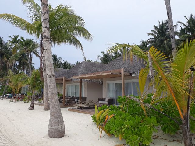 фотографии отеля Baglioni Resort Maldives изображение №67