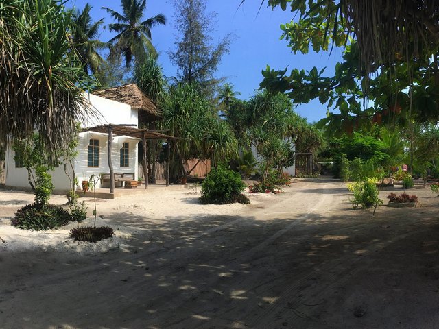 фото отеля Barefoot Zanzibar изображение №1