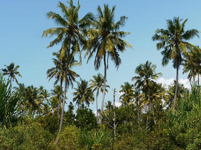 фото Barefoot Zanzibar изображение №10
