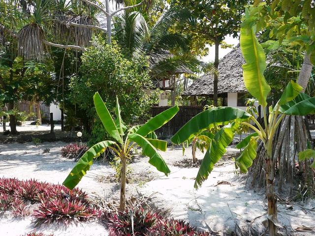 фото отеля Barefoot Zanzibar изображение №9
