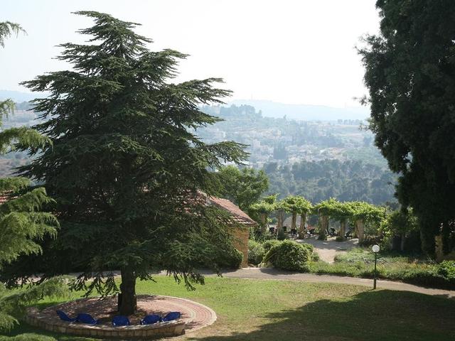 фото отеля Ye'arim (ex. Orchid Jerusalem View) изображение №29