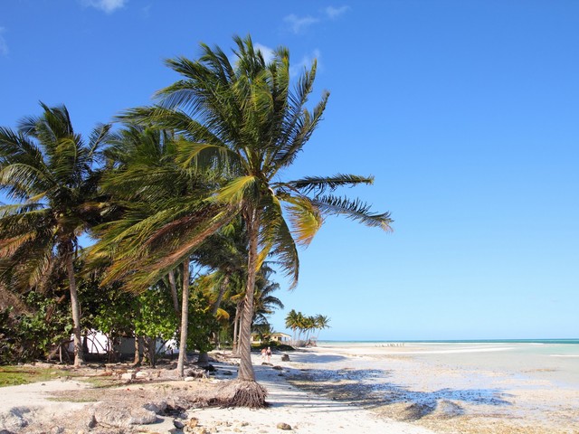 фотографии отеля Cubanacan Villa Megano (ех. Horizontes Megano) изображение №3