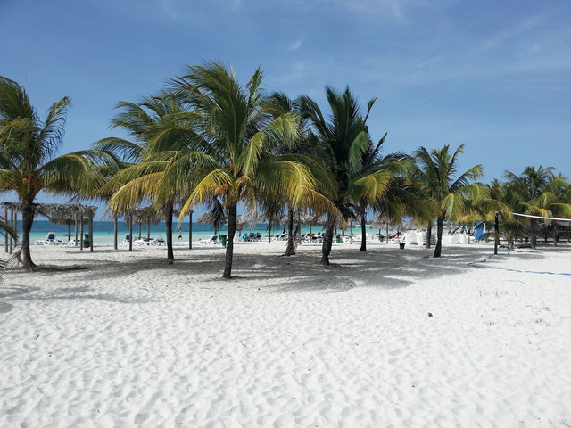 фотографии Playa Paraiso (ex. Cayo Coco Beach Resort; Pestana Cayo Coco)  изображение №8