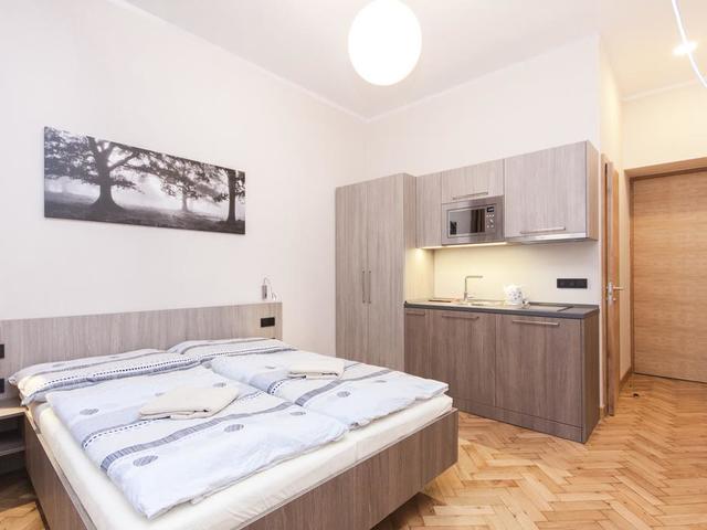 фото отеля Manesova Astra Apartment (ex. Pension Manes) изображение №17