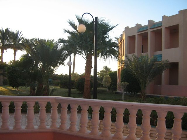 фотографии отеля Almas Red Sea Palace (ex. Golden 5 Almas Resort) изображение №11