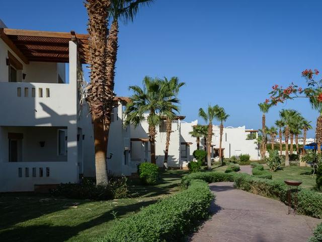 фотографии отеля Amphoras Aqua (ex. Shores Golden Resort; Golden Sharm) изображение №39