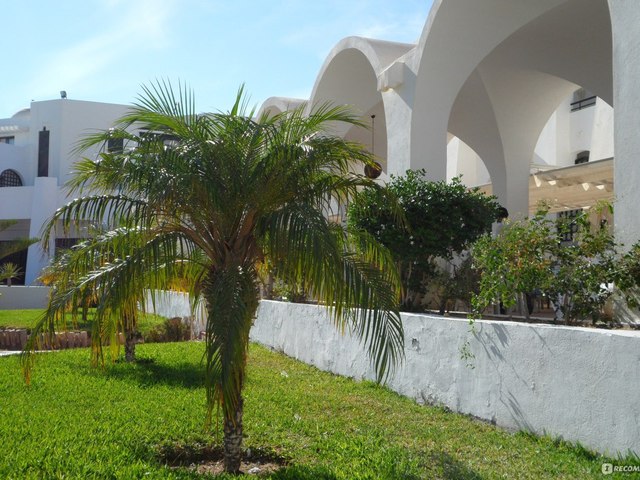 фото отеля Palm Azur (ex. Sentido Palm Azur; Club Palm Azur; Palm Azur) изображение №9