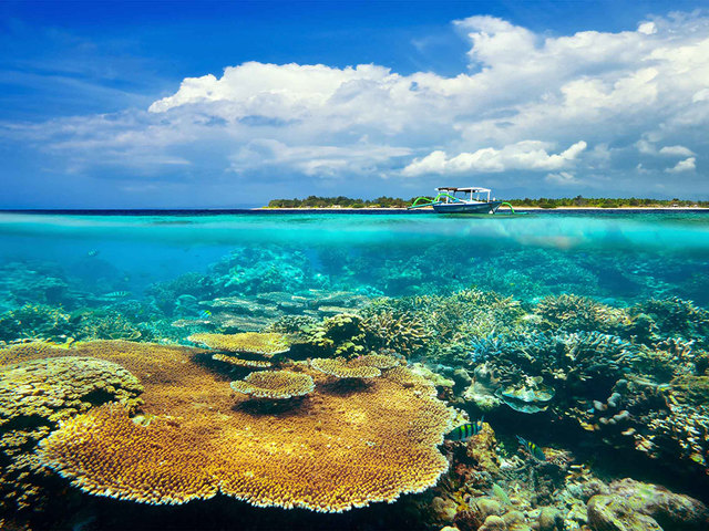 фотографии отеля Kura Kura Resort Gili Meno изображение №27